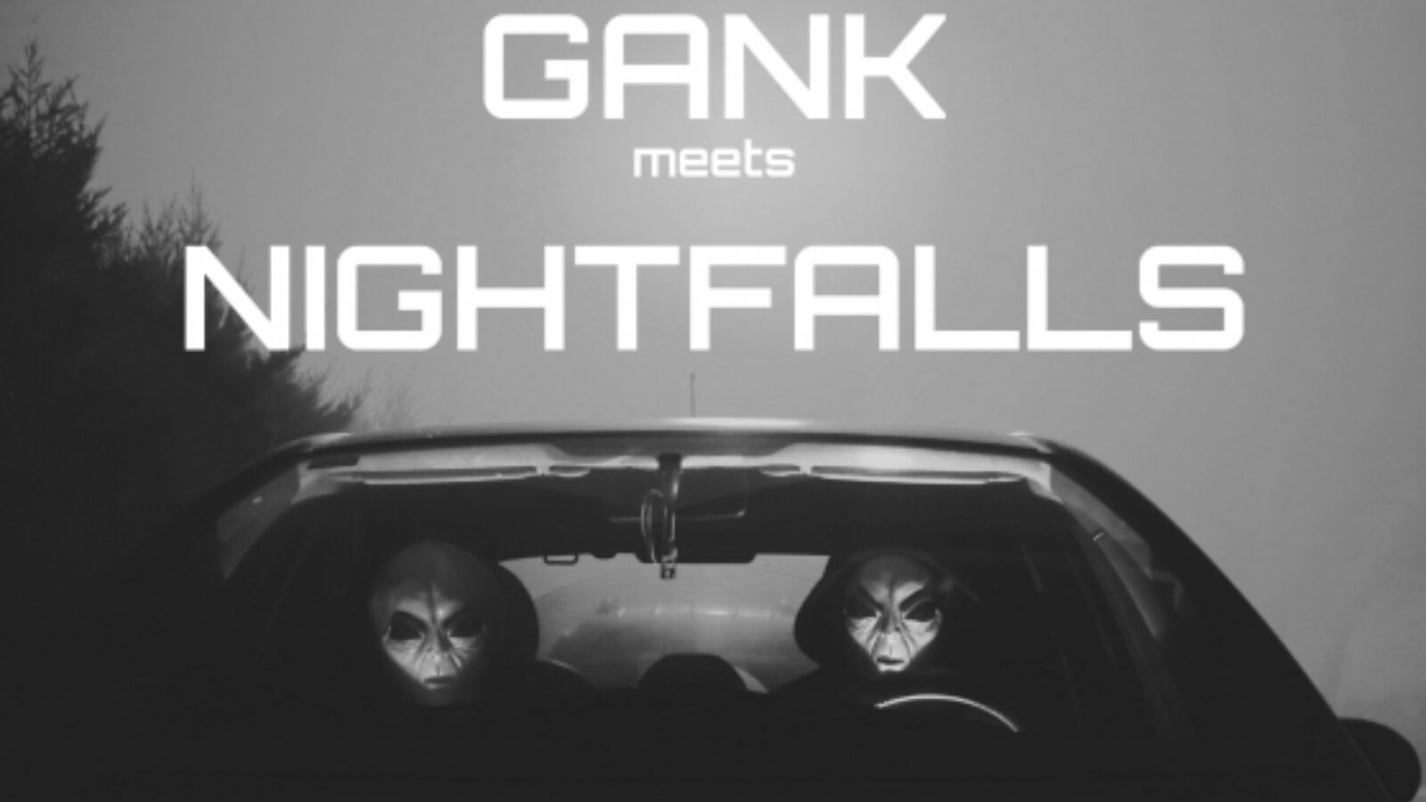 picture of Feest! Gank meets Nightfalls 16 mrt