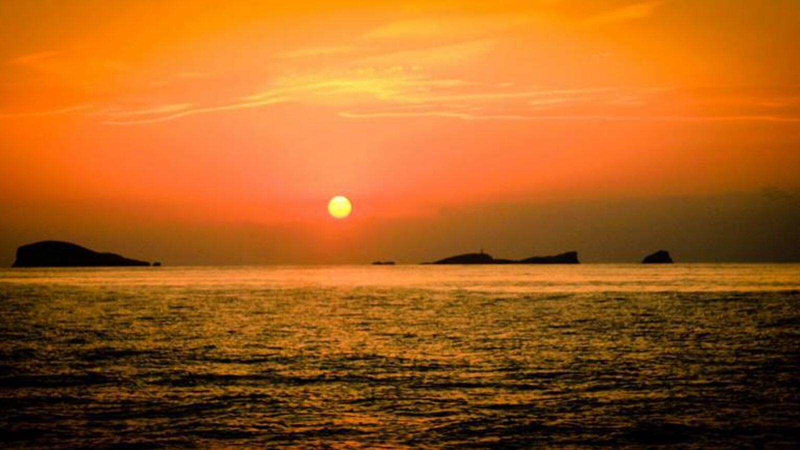 picture of Foxy Music